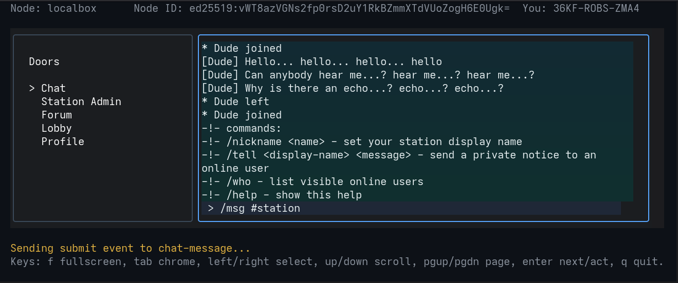 Chat door with message log, help text, and input line